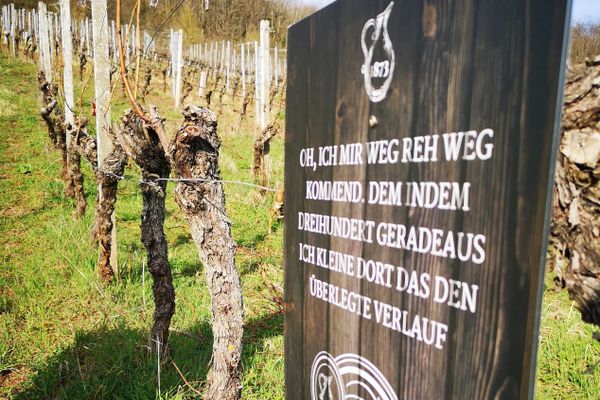 Selbst die Hinweistafeln sprechen in Rätseln!