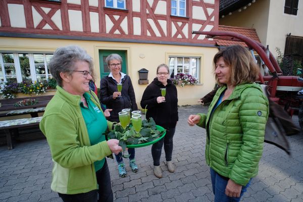 Kräuterführerin kredenzt erfrischenden Kräutertrunk