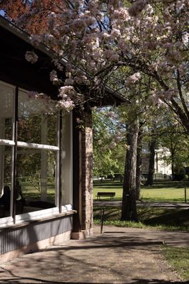 Café Kowalskis im Kurpark Bad Orb