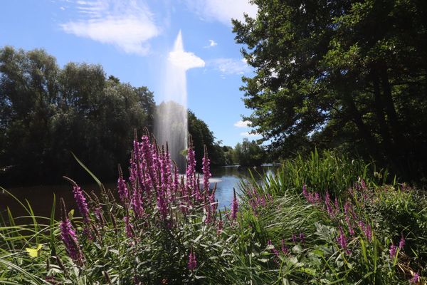 Kurpark am See Springbrunnen im See