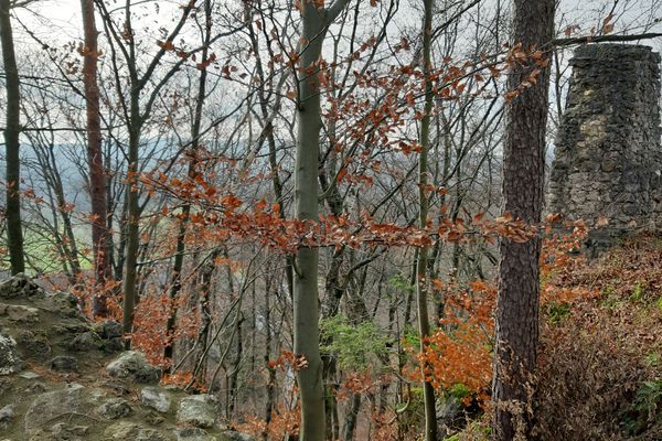 Burgruine Wildenfels