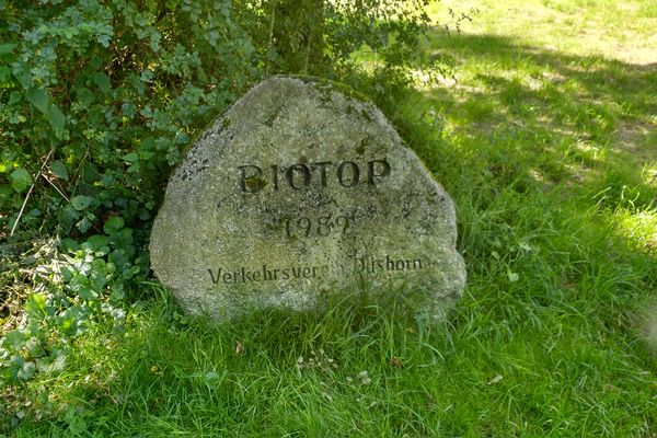 Stein mit Aufschrift Biotop 1989 Verkehrsverein Düshorn