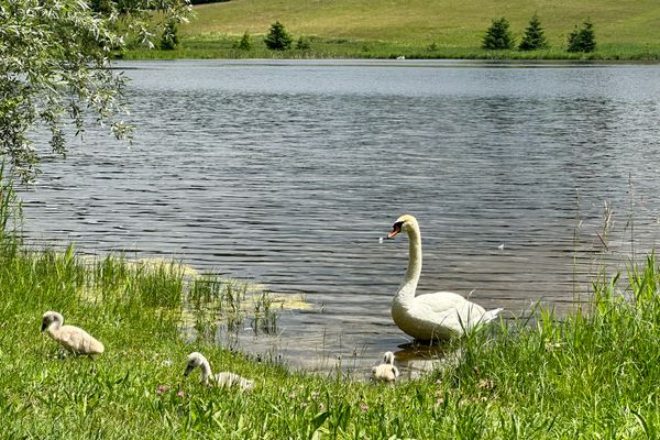 Badesee Bismarckweiher in Steingaden