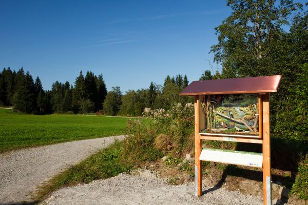 Schaukasten, Station 6