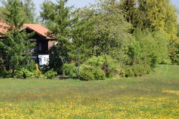 Hinter einer sonnigen Löwenzahnwiese und verdeckt von hohen Bäumen steht ein Haus mit holzvertäfeltem Obergeschoss und großer Dachgaube.
