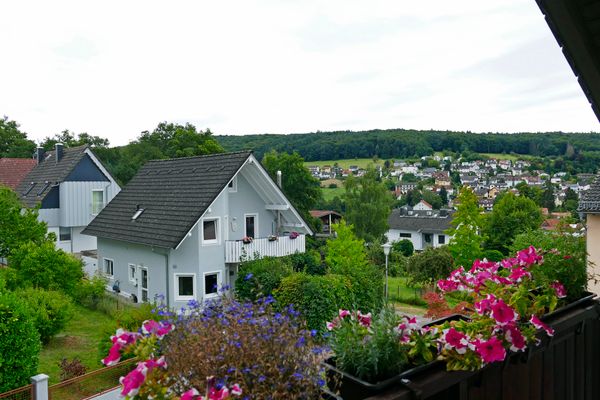 Blick vom Schlafzimmerbalkon der Ferienwohnung Hirtenberg