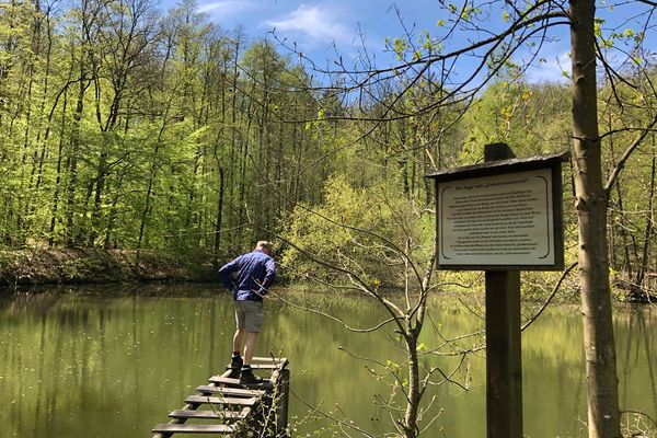 Ein Mann in kurzen Hosen und mit Schildkappe steht auf einem Holzsteg und blickt auf die Wasseroberfläche des Zoberwiesenteichs. Im Vordergrund steht an einem Holzfposten befestigt ein Infoschild zur Sage vom Zoberwiesenteich. Hinter dem Teich beginnt ein Wald. Es ist sommerlich schönes Wetter.