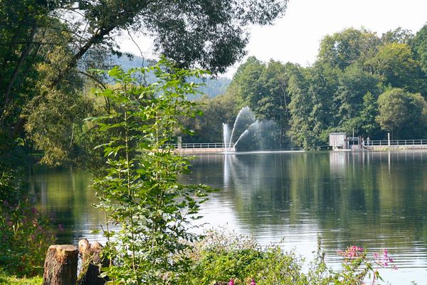 Blick über Büsche auf ein Gewässer, an dessen anderem Ende eine Wehr mit Fontänen zu sehen ist. Linkerhand ragt ein Baum über die Wasseroberfläche. Hinter dem Wehr ist Wald.