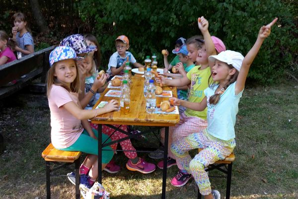 Ferienprogramm 2016: Ab in den Wald