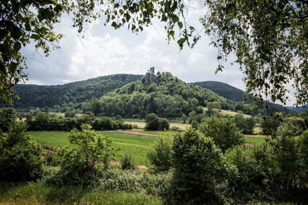 Blick aus der Ferne auf einen bewaldeten Hügel, auf dem eine Ruine thront.