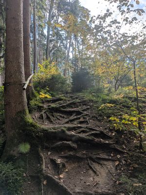 Der Mühlenweg eine Reise in die „kleine Fränkische Schweiz“