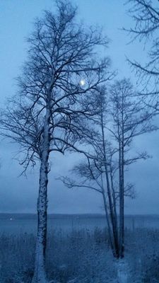 Winterwandern im Bernrieder Park