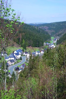 Talblick Dürrenwaid