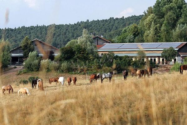 Unsere Farm