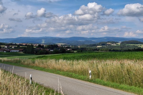 Eine schmale Straße führt durch hohe Gräser und einem dahinter liegenden Feld hin zu Ortschaften, die verstreut zwischen Wiesen und Waldstücken liegen. Am Horizont erstreckt sich eine bewaldete, sanfte Hügellandschaft.