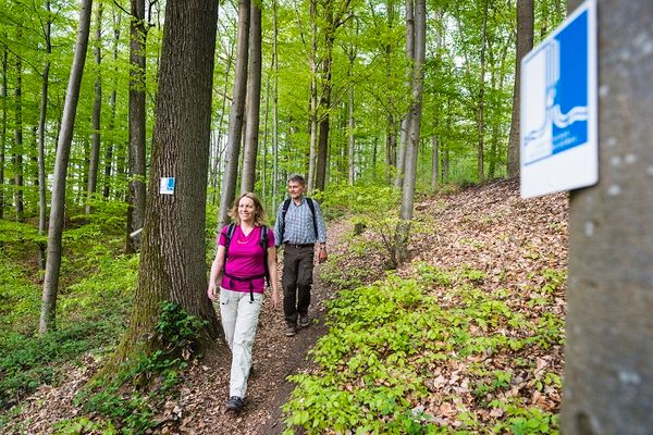 Wasserscheideweg_A_Hub_RomantischesFranken041_DSC8373_700