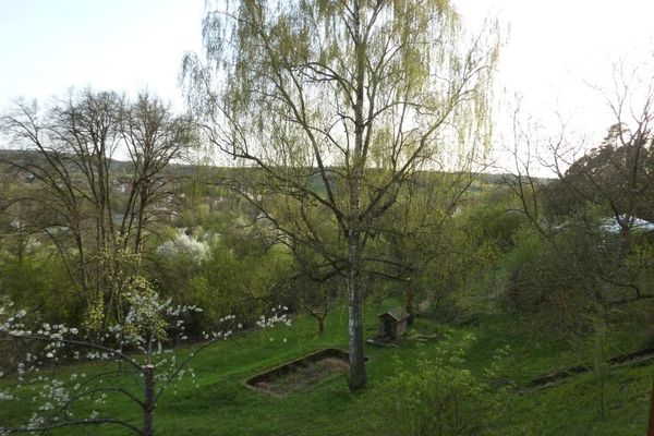 Frühling