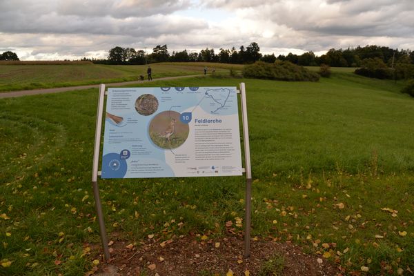 Infotafel am Vogellehrpfad in Lauf