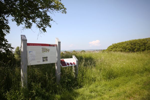 Blick auf einen Wiesenweg an dem eine Infotafeln mit der Aufschrift Der Limes, durchgängige Grenze Wissen vermittelt. Hinter der abfallenden Wiese ist ein Ort zu erahnen. Es ist sonniges Wetter.