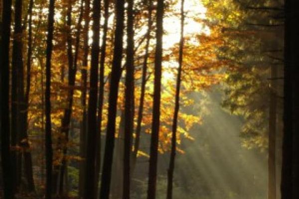 Grandsberg Herbst