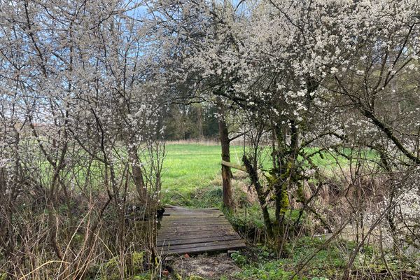 verwunschene Brücke bei Birkenfeld