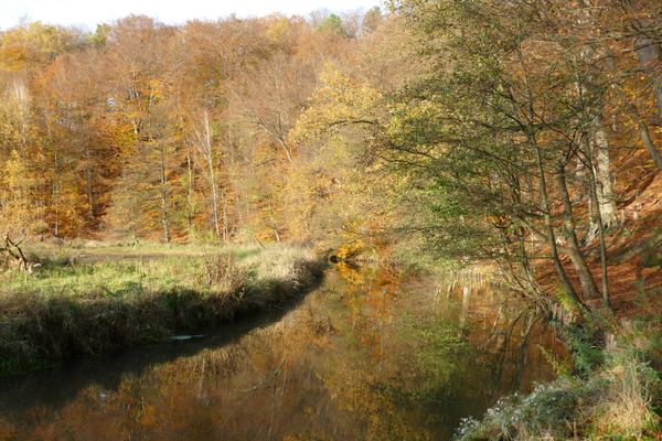 Blick vom Hirschgeweihweg auf die Böhme im Herbst