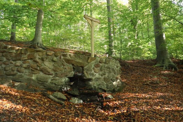 Kleiner Wasserlauf, der aus einer Feldsteinmauer mitten im Wald herausläuft.