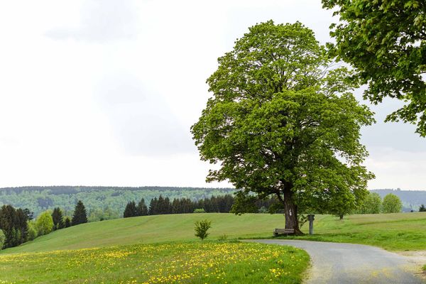 Nordhalben