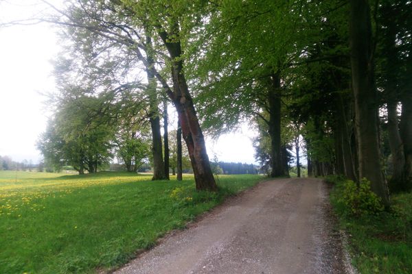 Aussicht bei den Hardtwiesen