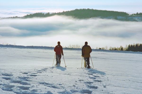 Zwei Schneeschuhwanderer stapfen im Sonnenschein über eine schneebedeckte Ebene. Vor ihnen ragt eine Waldfläche aus dem Nebelmeer.