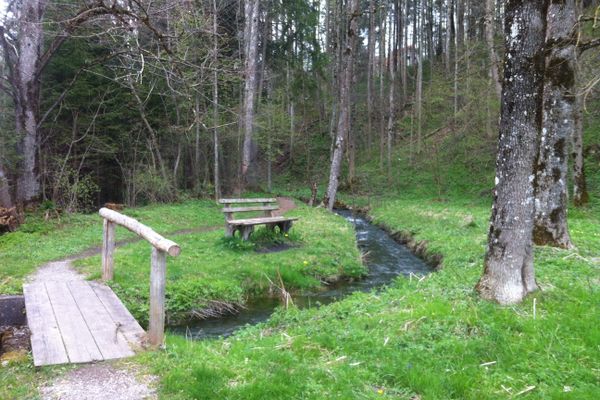 Über die Brücke kommen wir zu einem idyllischen Pfad am Neuhausbach
