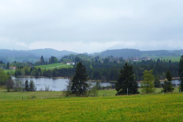 Blick auf den malerisch gelegenen Schwaigsee.