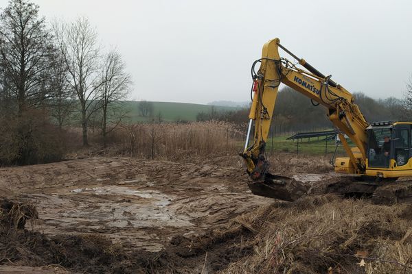 Anlage eines der Feuchtbiotope mit dem Bagger Frühjahr 2023