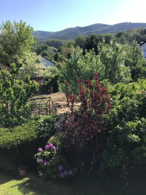 Ausblick