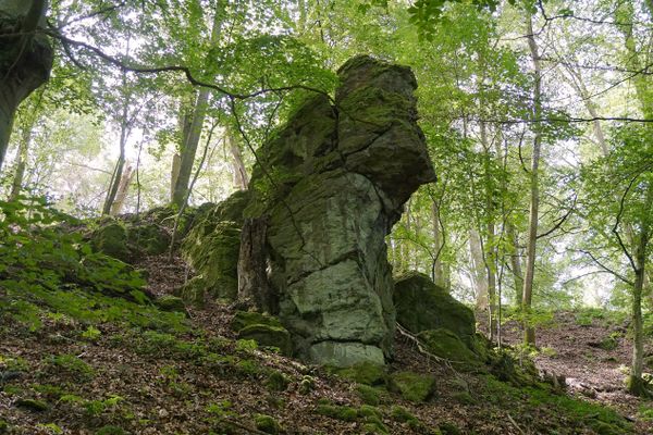 Ein großer Basaltfelsen steht haushoch im dichten Buchenwald an einem Hang. Die Form des Basaltriesens erinnert an den Kopf des Heinzemannes und heißt deshalb so.