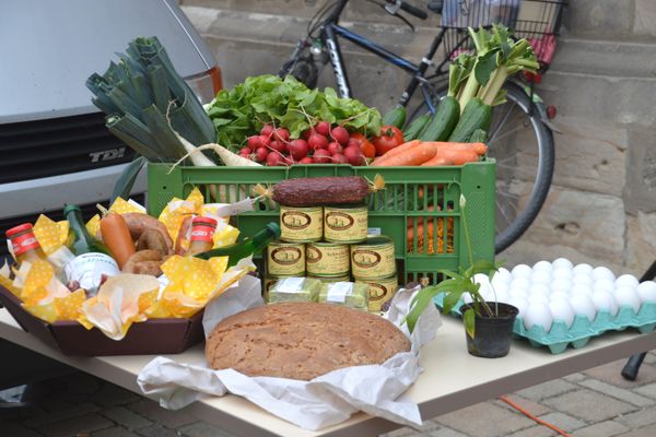 Langenzenn_BRV_Bauernmarkt_DSC_0013_StadtLangenzenn