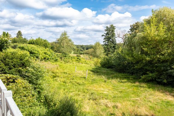 Blick von einem Gebäude mit Geländer auf eine grüne Wiese mit hohen Bäumen und Sträuchern unter leicht bewölktem Himmel.