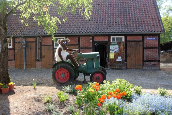 Das Maskottchen Heidschnucke „Schnucki“ sitzt auf einem grünen Oldtimer-Trecker vor einem Fachwerkhaus mit Treckermuseum.