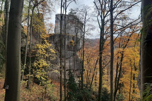 Gößweinstein – Spaziergang durch den Eibenwald