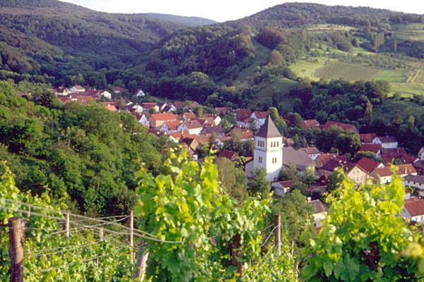 Wunderschöne Aussicht über Zell