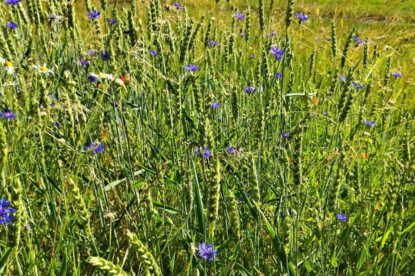 Wandertipp Nr. 25-06