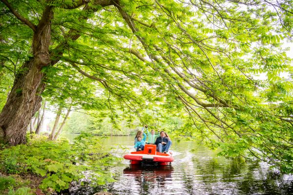 Trefbootfahrer fahren in Ufernähe unter über das Wasser hängende Baumzweige her