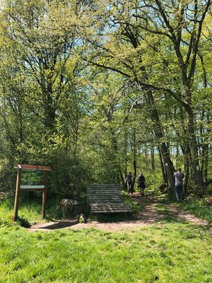 Am Waldrand steht eine Sinnesliege und eine Infotafel. Rechterhand davon gehen Wanderer auf einem Weg in den Wald hinein. An einem Baum hängt die Wegemarkierung.
