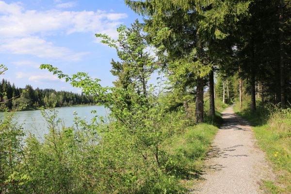 Seeweg