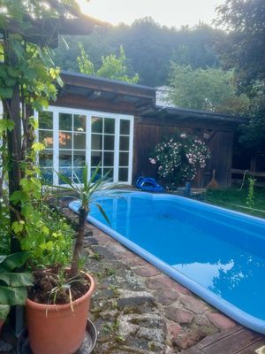 Bergfohlenhof - Pool