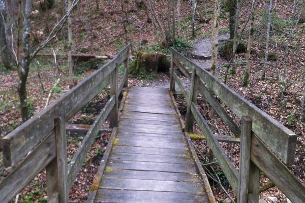 Holzbrücke über den Reitnerbach