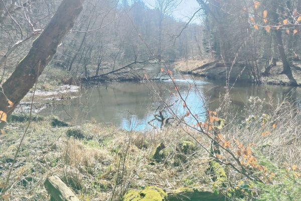 Sanft fließt die Ilmenau durch den lichten Frühlingswald unterhalb der Sängershöhe bei Medingen. Das Spiel von Licht, Wasser und frischem Grün macht diesen Ort zu einem stillen Naturidyll in der Heideregion Uelzen.