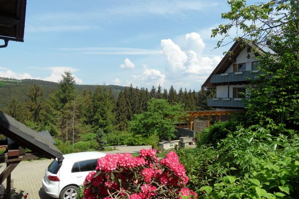Steffahof