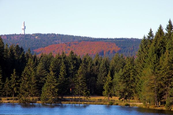 Fichtelsee mit Fichtelsee-Moor und Schneeberg-Blick