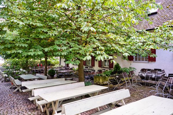 Blick in einen bestuhlten Biergarten mit einem Laubbaum.